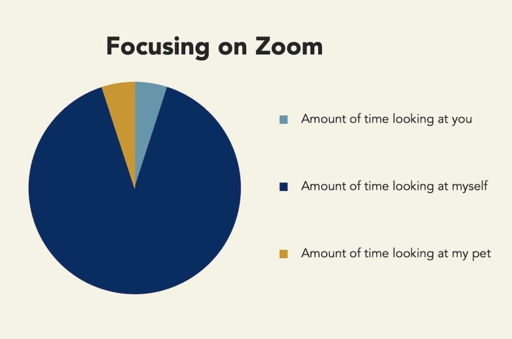 Graph of how time is spent on zoom. 